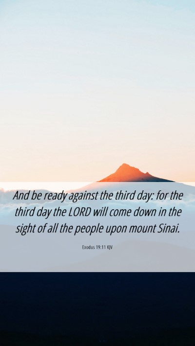 Picture 06 - Exodus 19:11 KJV Mobile Phone Wallpaper - And be ready against the third day: for the third - Mobile Bible Verse Wallpaper