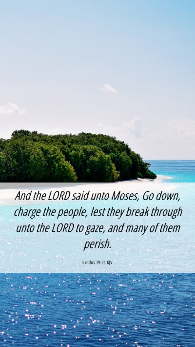 Picture 06 - Exodus 19:21 KJV Mobile Phone Wallpaper - And the LORD said unto Moses, Go down, charge the - Mobile Bible Verse Wallpaper