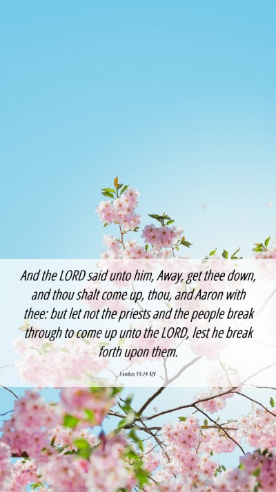 Picture 06 - Exodus 19:24 KJV Mobile Phone Wallpaper - And the LORD said unto him, Away, get thee down, - Mobile Bible Verse Wallpaper