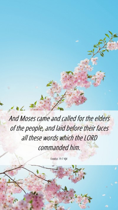 Picture 06 - Exodus 19:7 KJV Mobile Phone Wallpaper - And Moses came and called for the elders of the - Mobile Bible Verse Wallpaper
