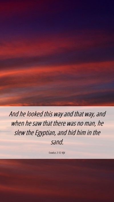 Picture 06 - Exodus 2:12 KJV Mobile Phone Wallpaper - And he looked this way and that way, and when he - Mobile Bible Verse Wallpaper