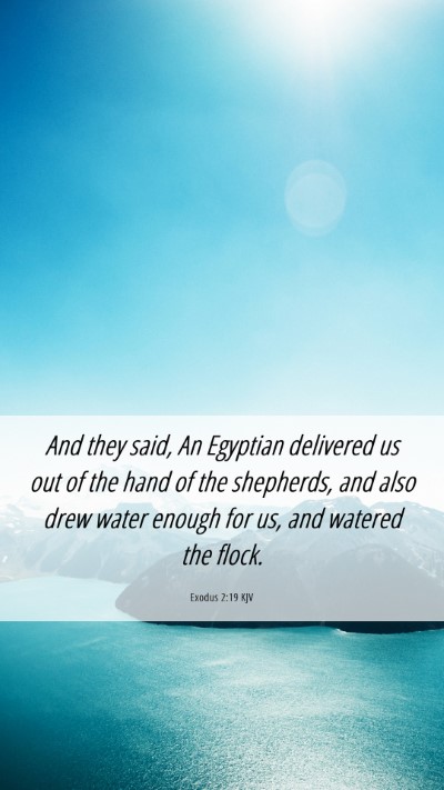 Picture 06 - Exodus 2:19 KJV Mobile Phone Wallpaper - And they said, An Egyptian delivered us out of - Mobile Bible Verse Wallpaper