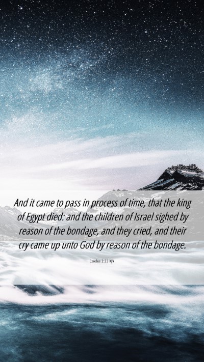 Picture 06 - Exodus 2:23 KJV Mobile Phone Wallpaper - And it came to pass in process of time, that the - Mobile Bible Verse Wallpaper
