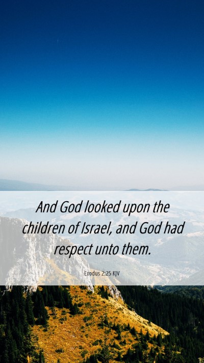 Picture 06 - Exodus 2:25 KJV Mobile Phone Wallpaper - And God looked upon the children of Israel, and - Mobile Bible Verse Wallpaper