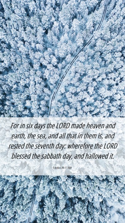 Picture 06 - Exodus 20:11 KJV Mobile Phone Wallpaper - For in six days the LORD made heaven and earth, - Mobile Bible Verse Wallpaper