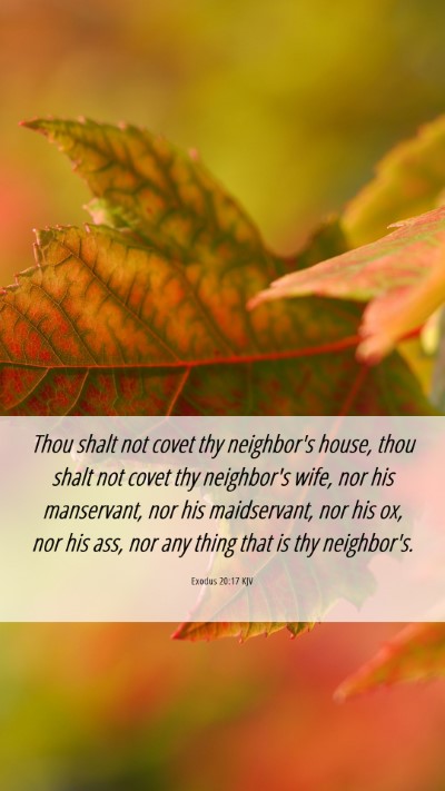 Picture 06 - Exodus 20:17 KJV Mobile Phone Wallpaper - Thou shalt not covet thy neighbor's house, thou - Mobile Bible Verse Wallpaper