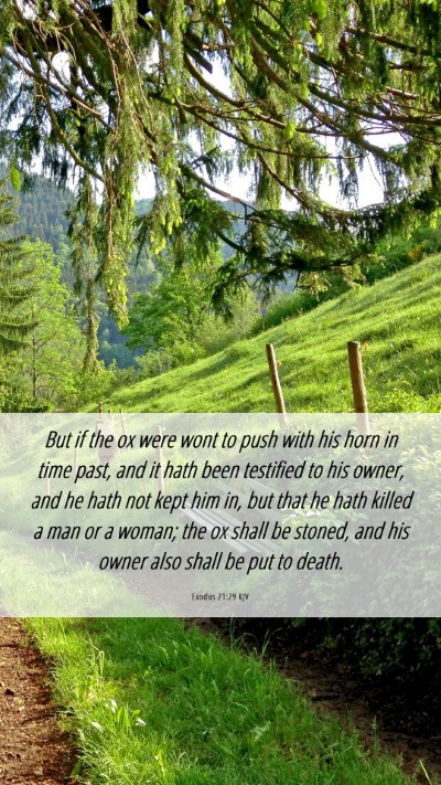 Picture 06 - Exodus 21:29 KJV Mobile Phone Wallpaper - But if the ox were wont to push with his horn in - Mobile Bible Verse Wallpaper