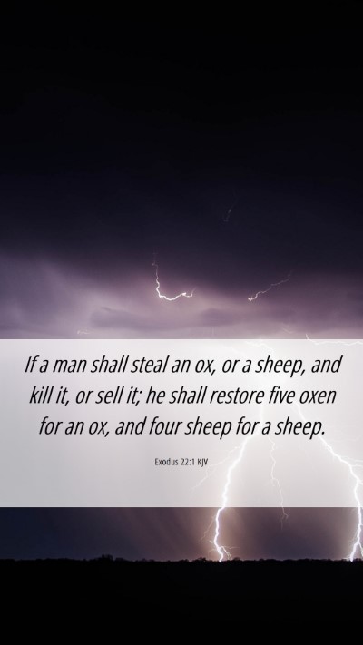 Picture 06 - Exodus 22:1 KJV Mobile Phone Wallpaper - If a man shall steal an ox, or a sheep, and kill - Mobile Bible Verse Wallpaper