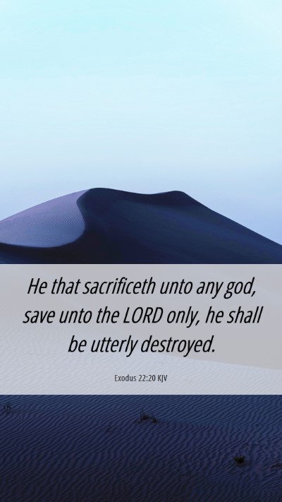 Picture 06 - Exodus 22:20 KJV Mobile Phone Wallpaper - He that sacrificeth unto any god, save unto the - Mobile Bible Verse Wallpaper