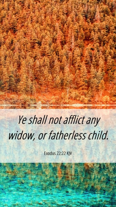 Picture 06 - Exodus 22:22 KJV Mobile Phone Wallpaper - Ye shall not afflict any widow, or fatherless - Mobile Bible Verse Wallpaper