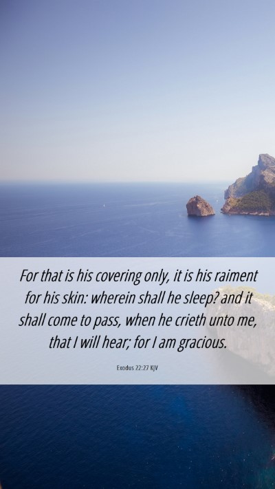 Picture 06 - Exodus 22:27 KJV Mobile Phone Wallpaper - For that is his covering only, it is his raiment - Mobile Bible Verse Wallpaper