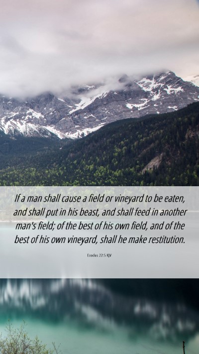 Picture 06 - Exodus 22:5 KJV Mobile Phone Wallpaper - If a man shall cause a field or vineyard to be - Mobile Bible Verse Wallpaper