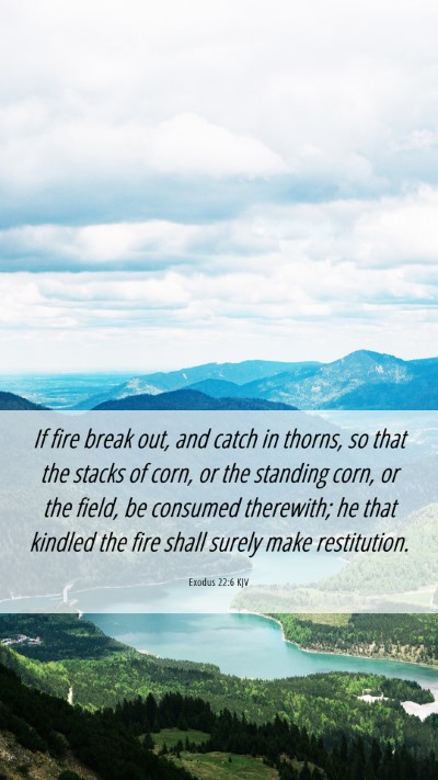 Picture 06 - Exodus 22:6 KJV Mobile Phone Wallpaper - If fire break out, and catch in thorns, so that - Mobile Bible Verse Wallpaper
