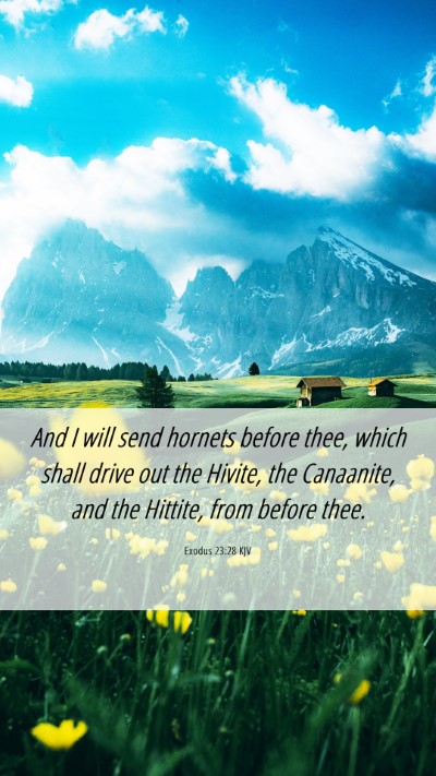 Picture 06 - Exodus 23:28 KJV Mobile Phone Wallpaper - And I will send hornets before thee, which shall - Mobile Bible Verse Wallpaper