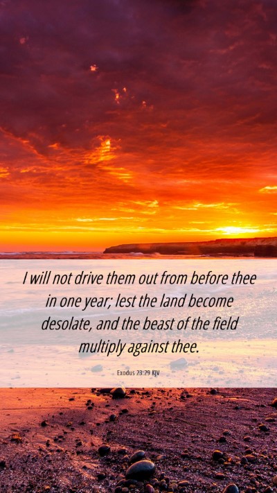 Picture 06 - Exodus 23:29 KJV Mobile Phone Wallpaper - I will not drive them out from before thee in one - Mobile Bible Verse Wallpaper