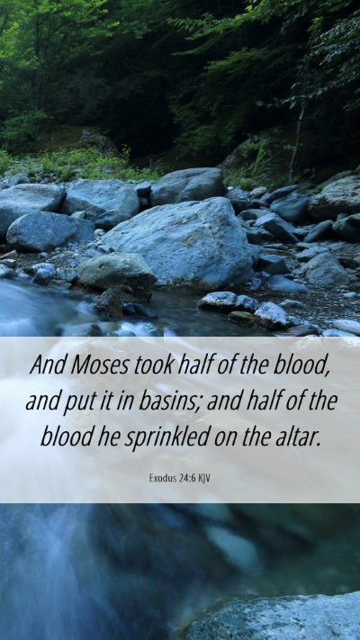 Picture 06 - Exodus 24:6 KJV Mobile Phone Wallpaper - And Moses took half of the blood, and put it in - Mobile Bible Verse Wallpaper