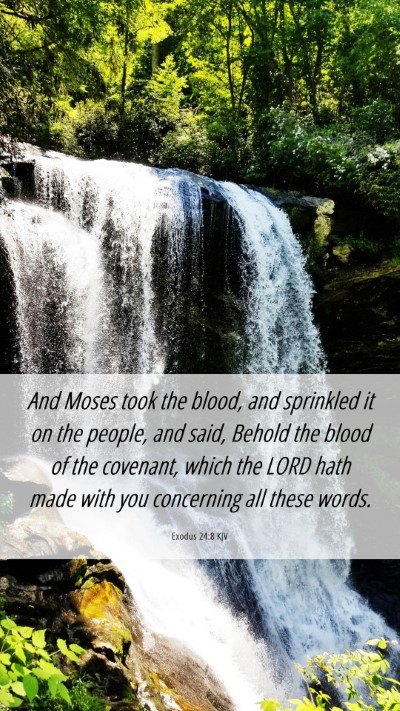 Picture 06 - Exodus 24:8 KJV Mobile Phone Wallpaper - And Moses took the blood, and sprinkled it on the - Mobile Bible Verse Wallpaper