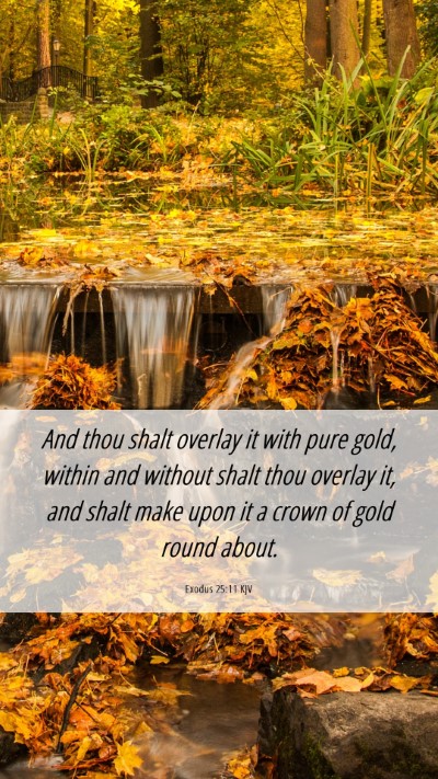 Picture 06 - Exodus 25:11 KJV Mobile Phone Wallpaper - And thou shalt overlay it with pure gold, within - Mobile Bible Verse Wallpaper