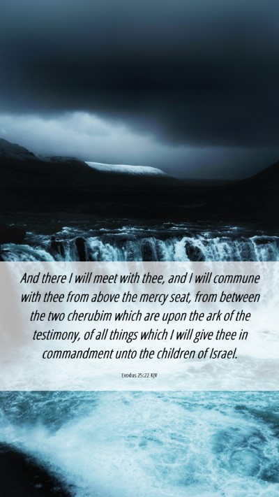 Picture 06 - Exodus 25:22 KJV Mobile Phone Wallpaper - And there I will meet with thee, and I will - Mobile Bible Verse Wallpaper