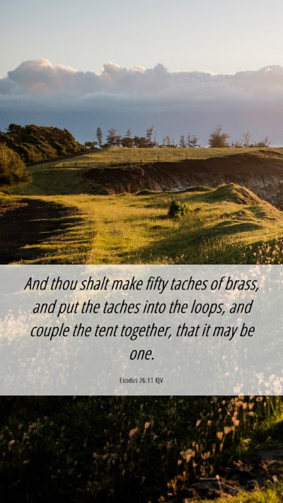 Picture 06 - Exodus 26:11 KJV Mobile Phone Wallpaper - And thou shalt make fifty taches of brass, and - Mobile Bible Verse Wallpaper