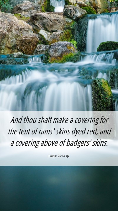 Picture 06 - Exodus 26:14 KJV Mobile Phone Wallpaper - And thou shalt make a covering for the tent of - Mobile Bible Verse Wallpaper