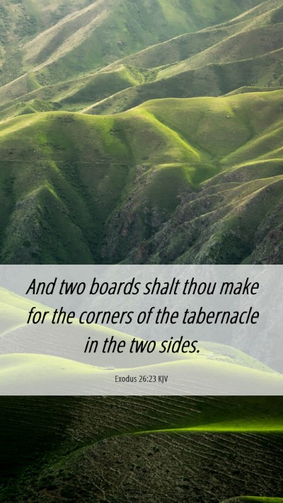 Picture 06 - Exodus 26:23 KJV Mobile Phone Wallpaper - And two boards shalt thou make for the corners of - Mobile Bible Verse Wallpaper