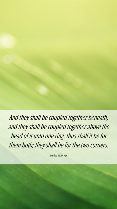 Picture 06 - Exodus 26:24 KJV Mobile Phone Wallpaper - And they shall be coupled together beneath, and - Mobile Bible Verse Wallpaper