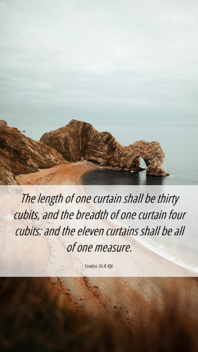 Picture 06 - Exodus 26:8 KJV Mobile Phone Wallpaper - The length of one curtain shall be thirty cubits, - Mobile Bible Verse Wallpaper