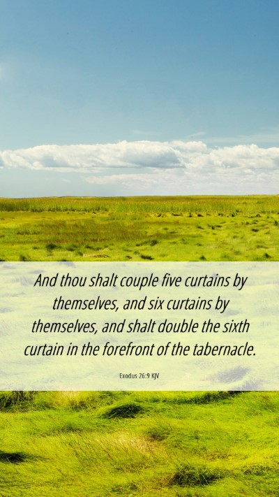 Picture 06 - Exodus 26:9 KJV Mobile Phone Wallpaper - And thou shalt couple five curtains by - Mobile Bible Verse Wallpaper