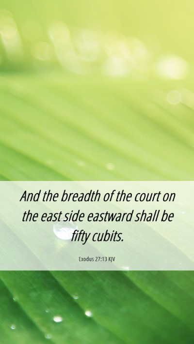 Picture 06 - Exodus 27:13 KJV Mobile Phone Wallpaper - And the breadth of the court on the east side - Mobile Bible Verse Wallpaper