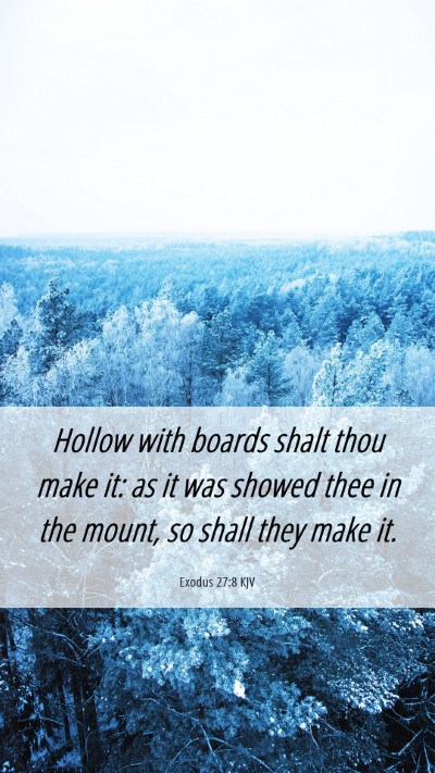 Picture 06 - Exodus 27:8 KJV Mobile Phone Wallpaper - Hollow with boards shalt thou make it: as it was - Mobile Bible Verse Wallpaper