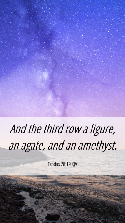Picture 06 - Exodus 28:19 KJV Mobile Phone Wallpaper - And the third row a ligure, an agate, and an - Mobile Bible Verse Wallpaper