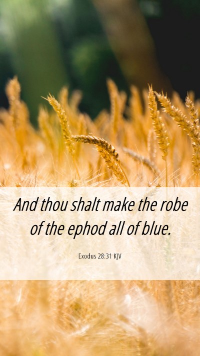 Picture 06 - Exodus 28:31 KJV Mobile Phone Wallpaper - And thou shalt make the robe of the ephod all of - Mobile Bible Verse Wallpaper