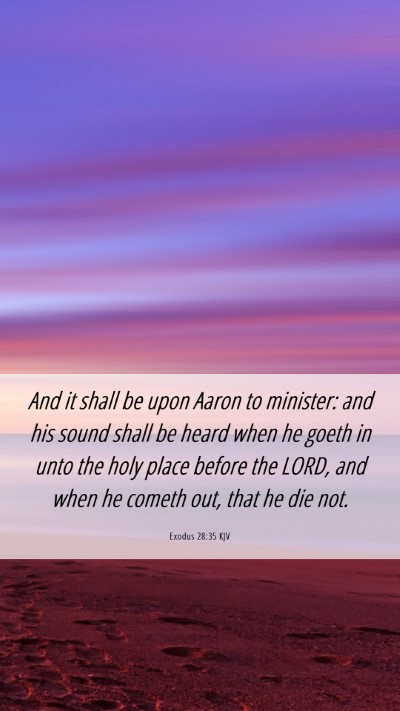 Picture 06 - Exodus 28:35 KJV Mobile Phone Wallpaper - And it shall be upon Aaron to minister: and his - Mobile Bible Verse Wallpaper