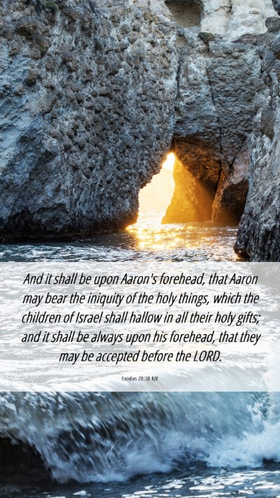 Picture 06 - Exodus 28:38 KJV Mobile Phone Wallpaper - And it shall be upon Aaron's forehead, that Aaron - Mobile Bible Verse Wallpaper