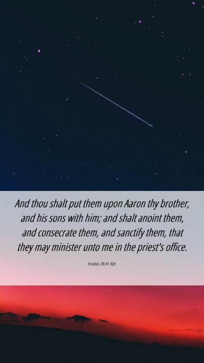 Picture 06 - Exodus 28:41 KJV Mobile Phone Wallpaper - And thou shalt put them upon Aaron thy brother, - Mobile Bible Verse Wallpaper