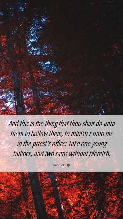 Picture 06 - Exodus 29:1 KJV Mobile Phone Wallpaper - And this is the thing that thou shalt do unto - Mobile Bible Verse Wallpaper