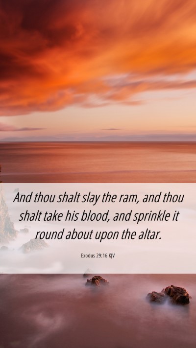 Picture 06 - Exodus 29:16 KJV Mobile Phone Wallpaper - And thou shalt slay the ram, and thou shalt take - Mobile Bible Verse Wallpaper