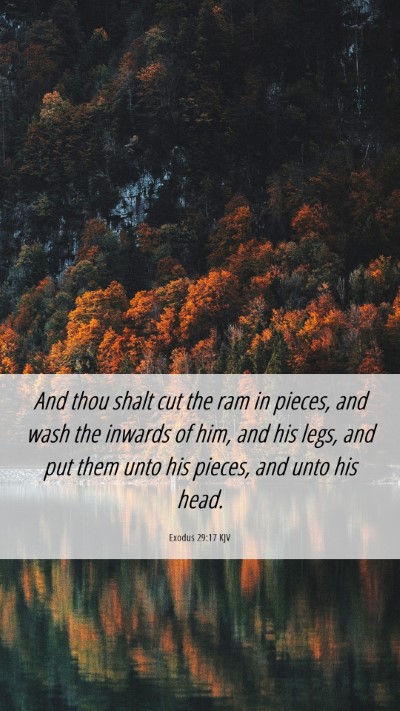 Picture 06 - Exodus 29:17 KJV Mobile Phone Wallpaper - And thou shalt cut the ram in pieces, and wash - Mobile Bible Verse Wallpaper