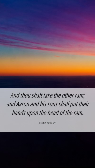 Picture 06 - Exodus 29:19 KJV Mobile Phone Wallpaper - And thou shalt take the other ram; and Aaron and - Mobile Bible Verse Wallpaper