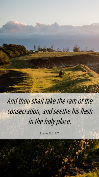 Picture 06 - Exodus 29:31 KJV Mobile Phone Wallpaper - And thou shalt take the ram of the consecration, - Mobile Bible Verse Wallpaper