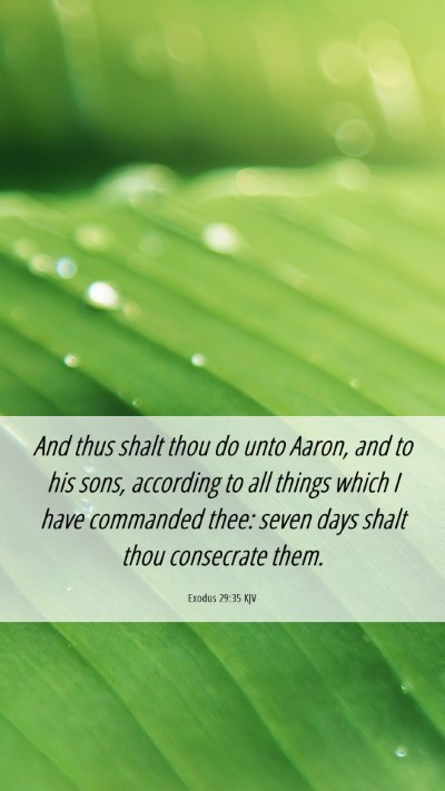 Picture 06 - Exodus 29:35 KJV Mobile Phone Wallpaper - And thus shalt thou do unto Aaron, and to his - Mobile Bible Verse Wallpaper
