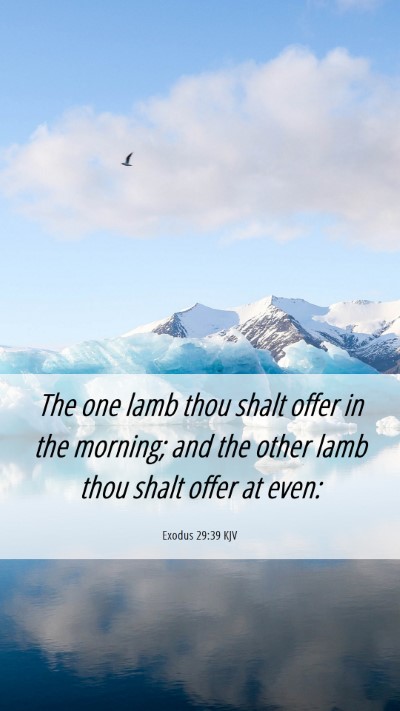 Picture 06 - Exodus 29:39 KJV Mobile Phone Wallpaper - The one lamb thou shalt offer in the morning; and - Mobile Bible Verse Wallpaper