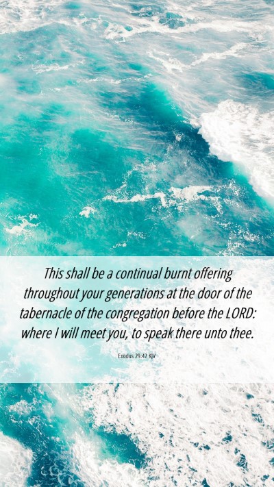Picture 06 - Exodus 29:42 KJV Mobile Phone Wallpaper - This shall be a continual burnt offering - Mobile Bible Verse Wallpaper