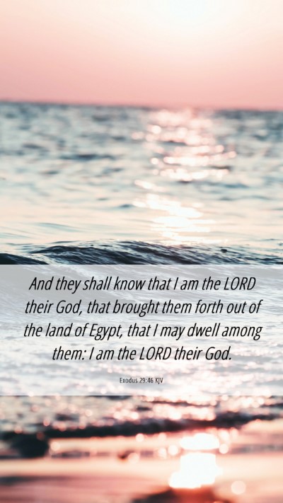 Picture 06 - Exodus 29:46 KJV Mobile Phone Wallpaper - And they shall know that I am the LORD their God, - Mobile Bible Verse Wallpaper