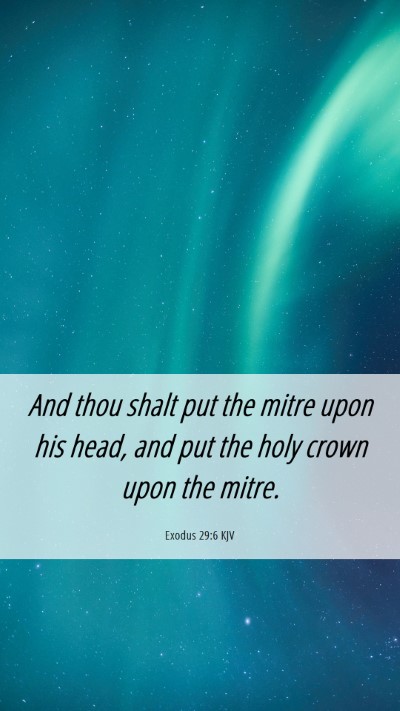 Picture 06 - Exodus 29:6 KJV Mobile Phone Wallpaper - And thou shalt put the mitre upon his head, and - Mobile Bible Verse Wallpaper