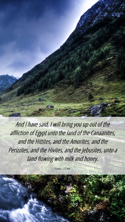 Picture 06 - Exodus 3:17 KJV Mobile Phone Wallpaper - And I have said, I will bring you up out of the - Mobile Bible Verse Wallpaper