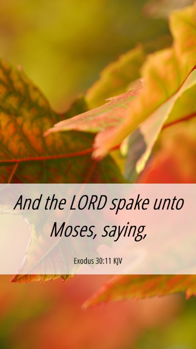 Picture 06 - Exodus 30:11 KJV Mobile Phone Wallpaper - And the LORD spake unto Moses, - Mobile Bible Verse Wallpaper