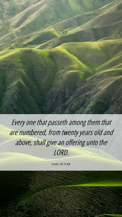Picture 06 - Exodus 30:14 KJV Mobile Phone Wallpaper - Every one that passeth among them that are - Mobile Bible Verse Wallpaper