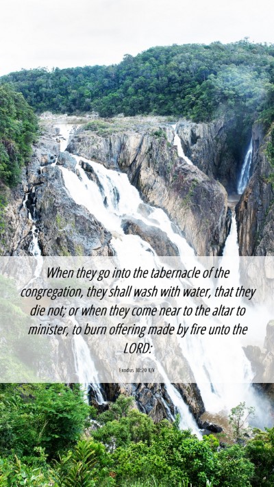 Picture 06 - Exodus 30:20 KJV Mobile Phone Wallpaper - When they go into the tabernacle of the - Mobile Bible Verse Wallpaper